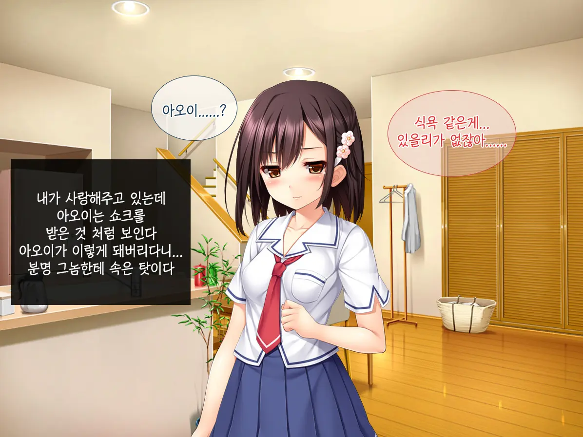 Imouto Ga Suki Sugiru Aniki Ga Kareshi Kara Netoru | 여동생을 엄청 좋아한 오빠가 남자친구에게서 여동생 빼앗기